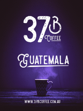 Guatamala (Single Origin)